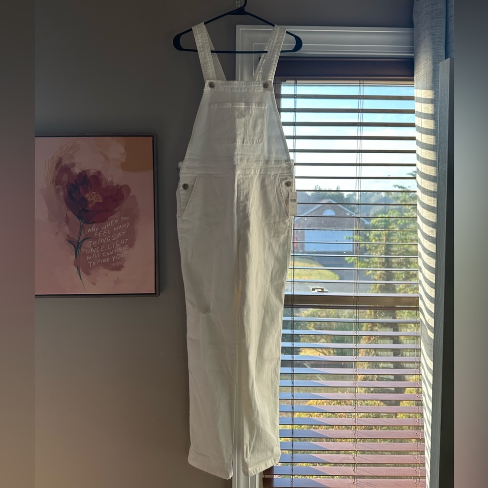 NWT Anthropologie overalls from Pilcro and the Letterpress.